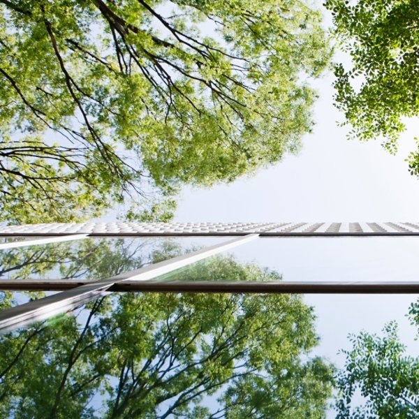 Glass-walled building reflecting trees. This is shoot with a composition to look up from a lower place.