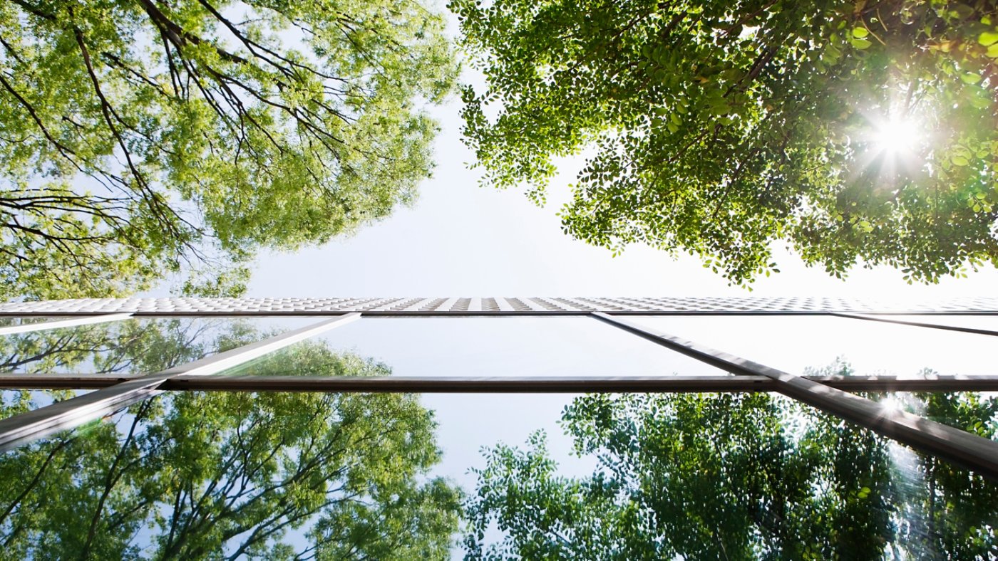 Glass-walled building reflecting trees. This is shoot with a composition to look up from a lower place.