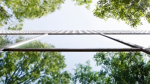 Glass-walled building reflecting trees. This is shoot with a composition to look up from a lower place.