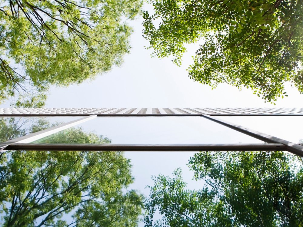 Glass-walled building reflecting trees. This is shoot with a composition to look up from a lower place.