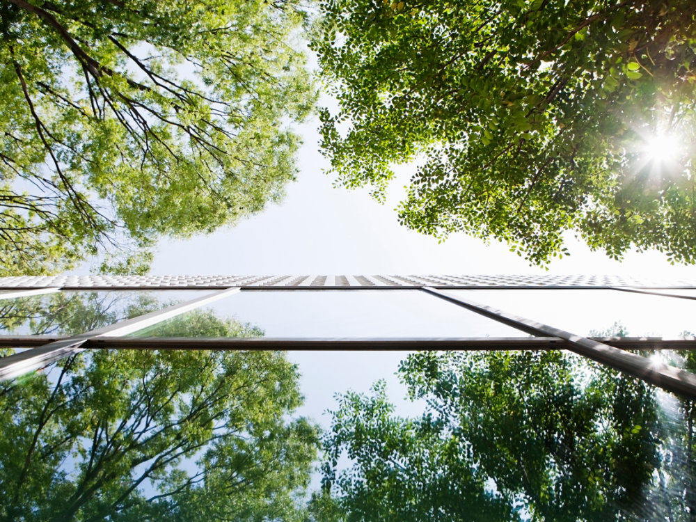 Glass-walled building reflecting trees. This is shoot with a composition to look up from a lower place.