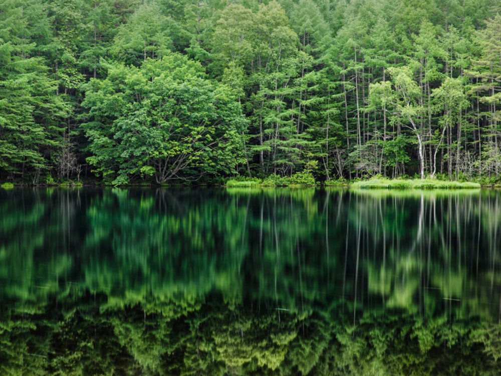 The scenery of Mishakaike in Chino city, Nagano