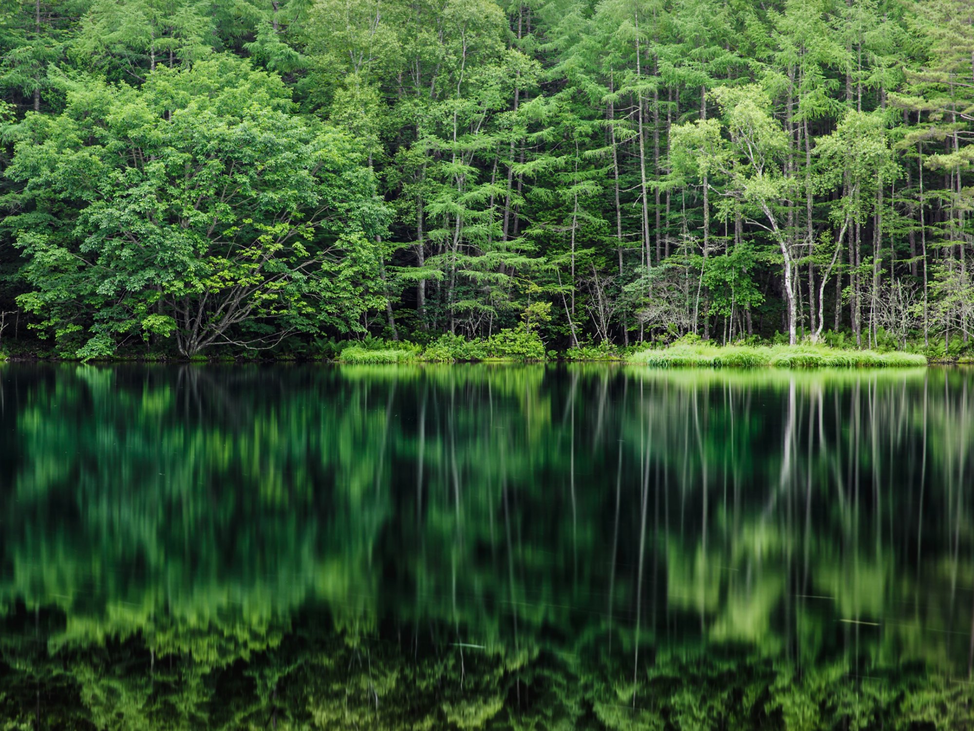 The scenery of Mishakaike in Chino city, Nagano