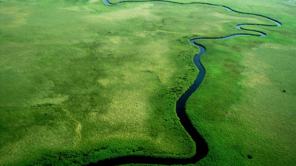 Aerial view of Zambezi, Botswana.