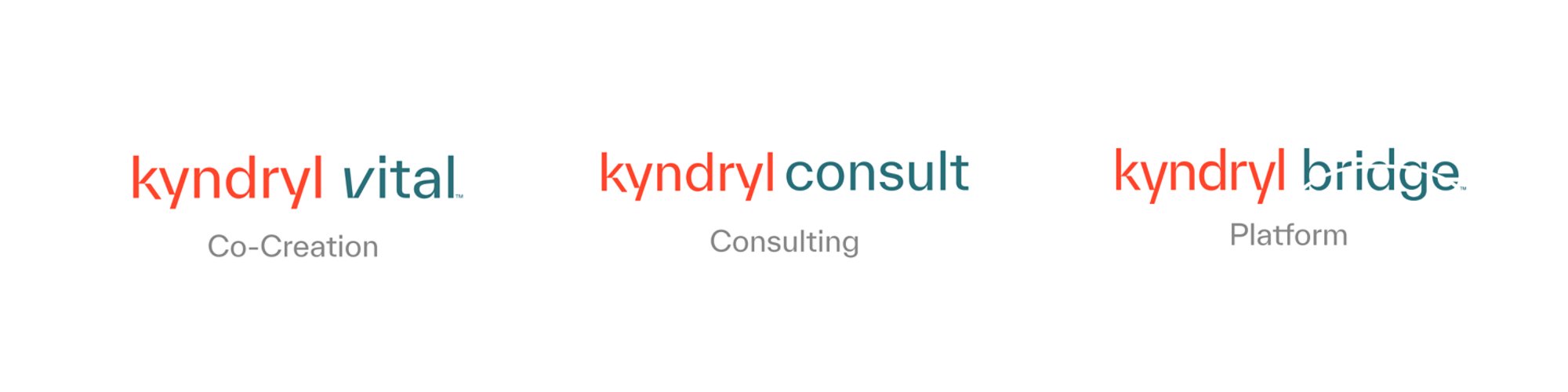 Our line brands overview for co-creation, consulting and platform 16x9