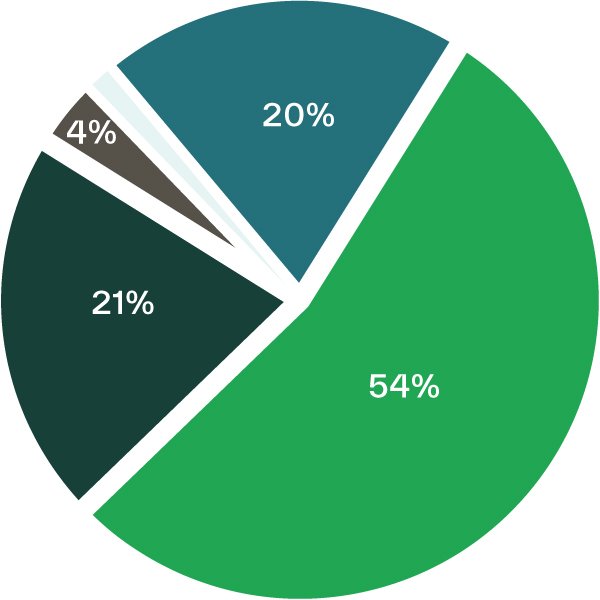 pie chart sec 1 1 to 1