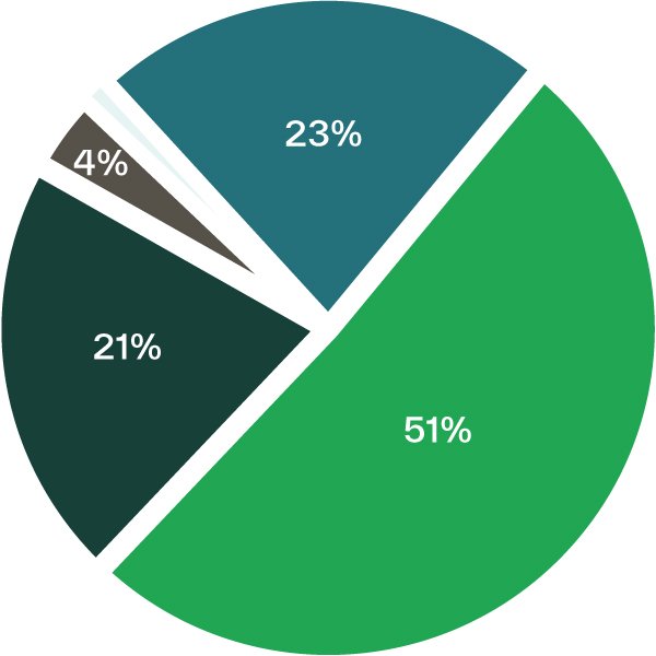 pie chart