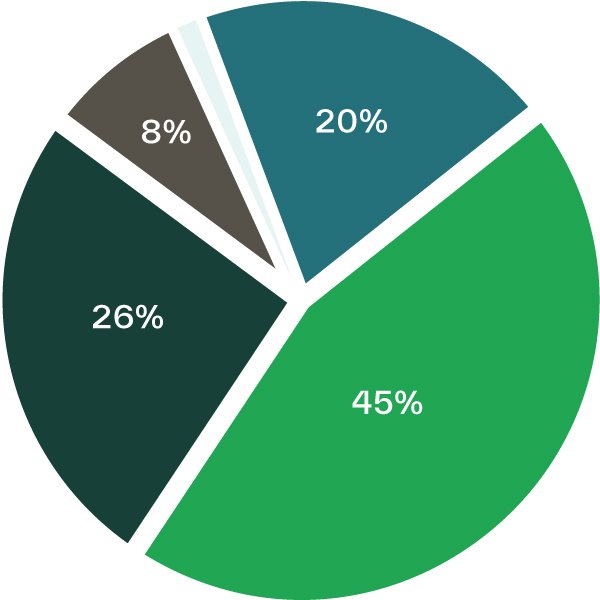 pie chart