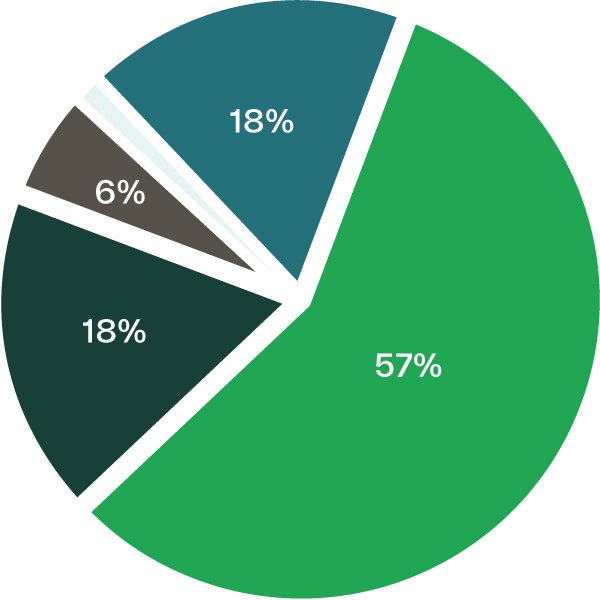 pie chart