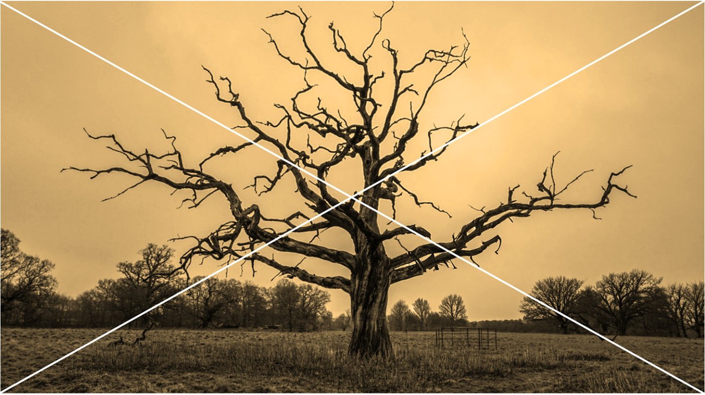 Misuse showing nature not thriving