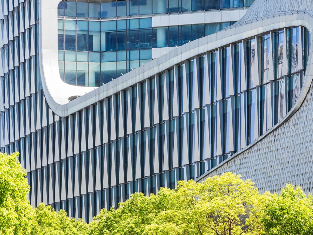 Trees front of highrise buildings in Shenzhen, China