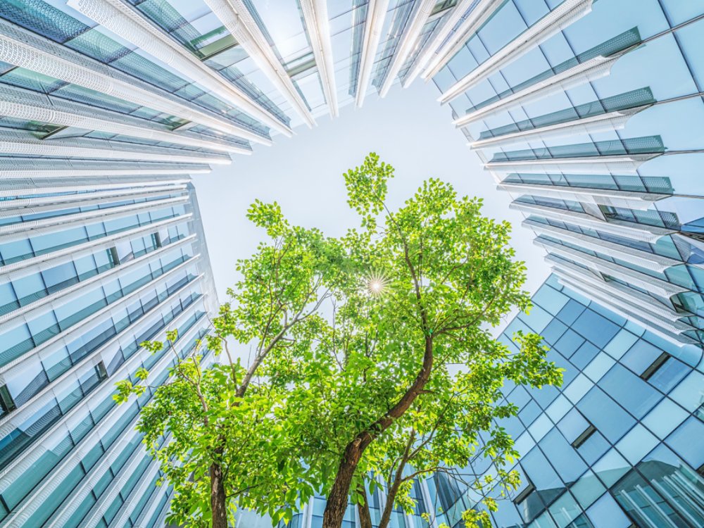 Future ecological city