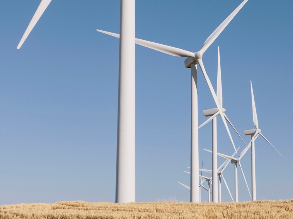 Tall wind turbines in open country farmland in Washington.