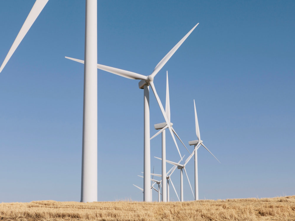 Tall wind turbines in open country farmland in Washington.