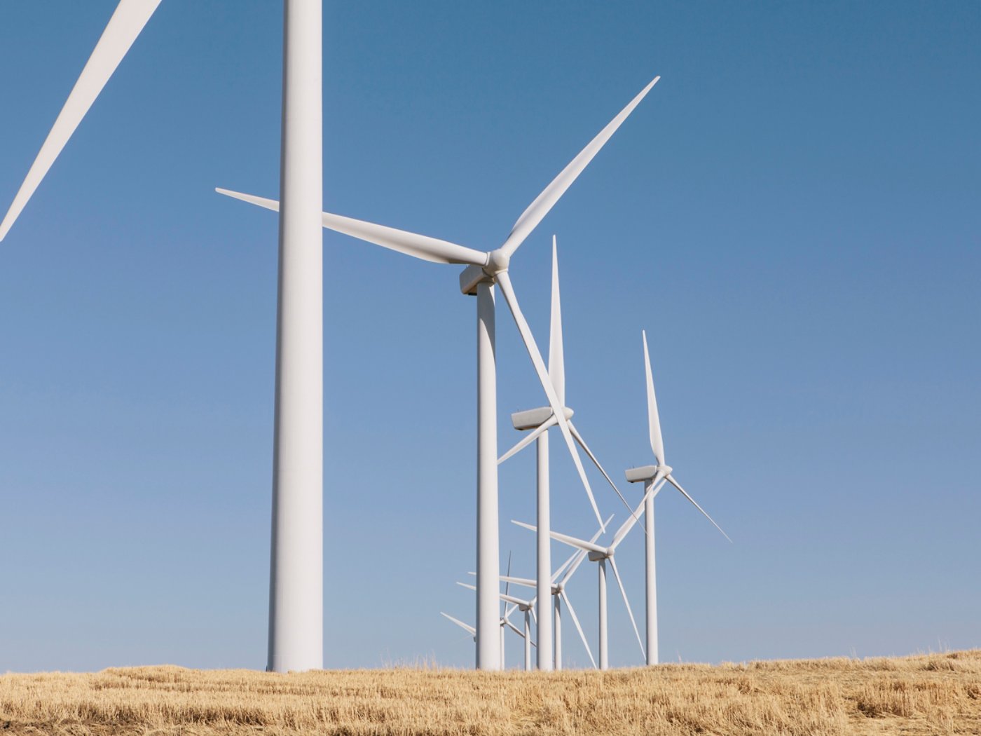 Tall wind turbines in open country farmland in Washington.