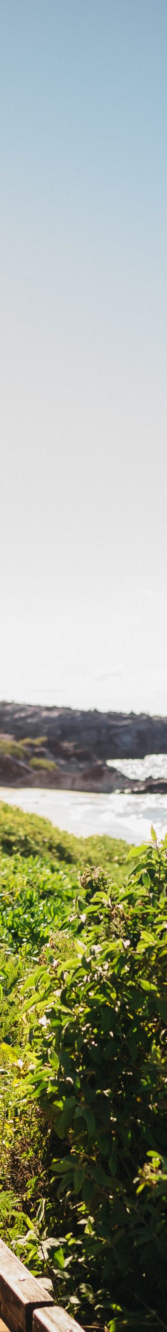 Ritz Carlton Hotel image