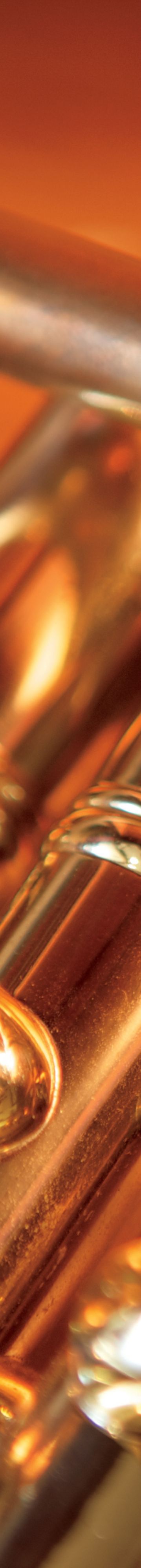 240495_extracted