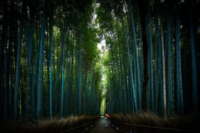 Ritz Carlton Hotel image