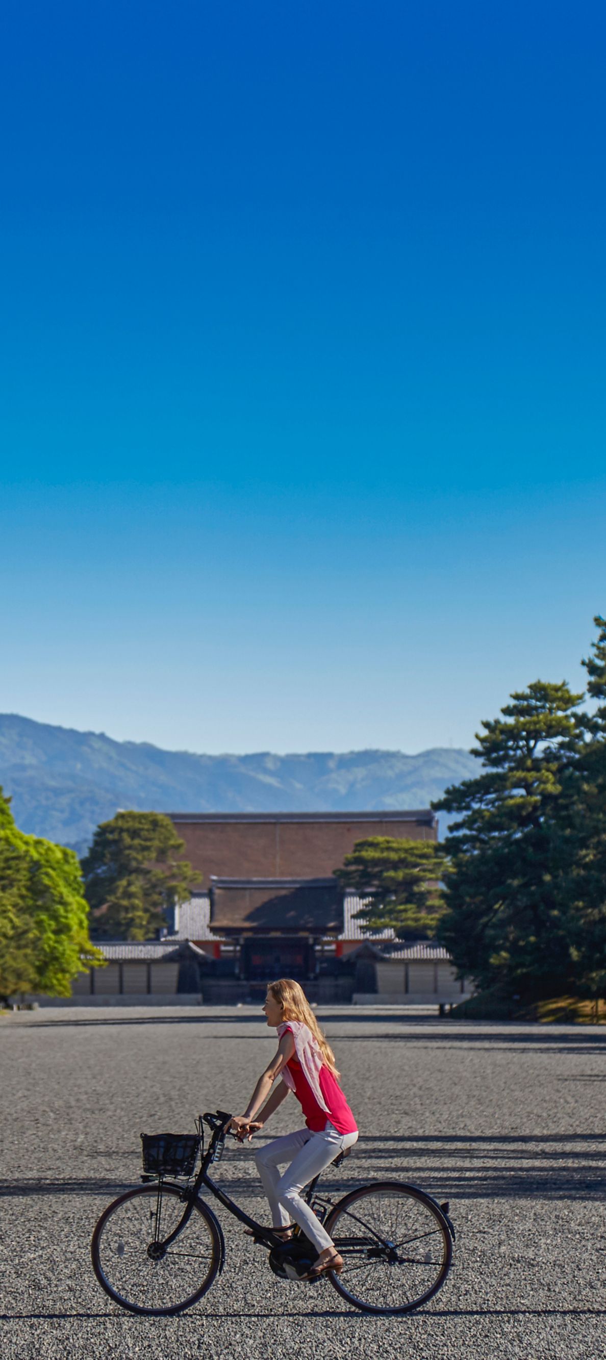 Ritz Carlton Hotel image