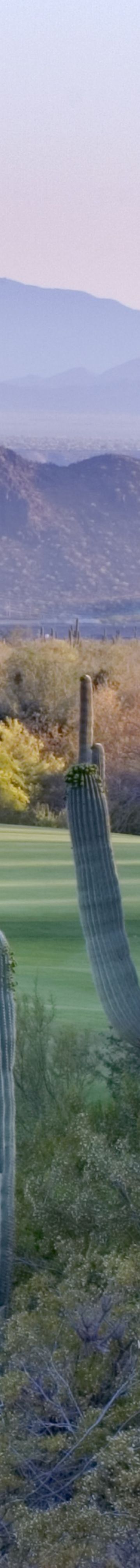 50469900-g_s_hole_13