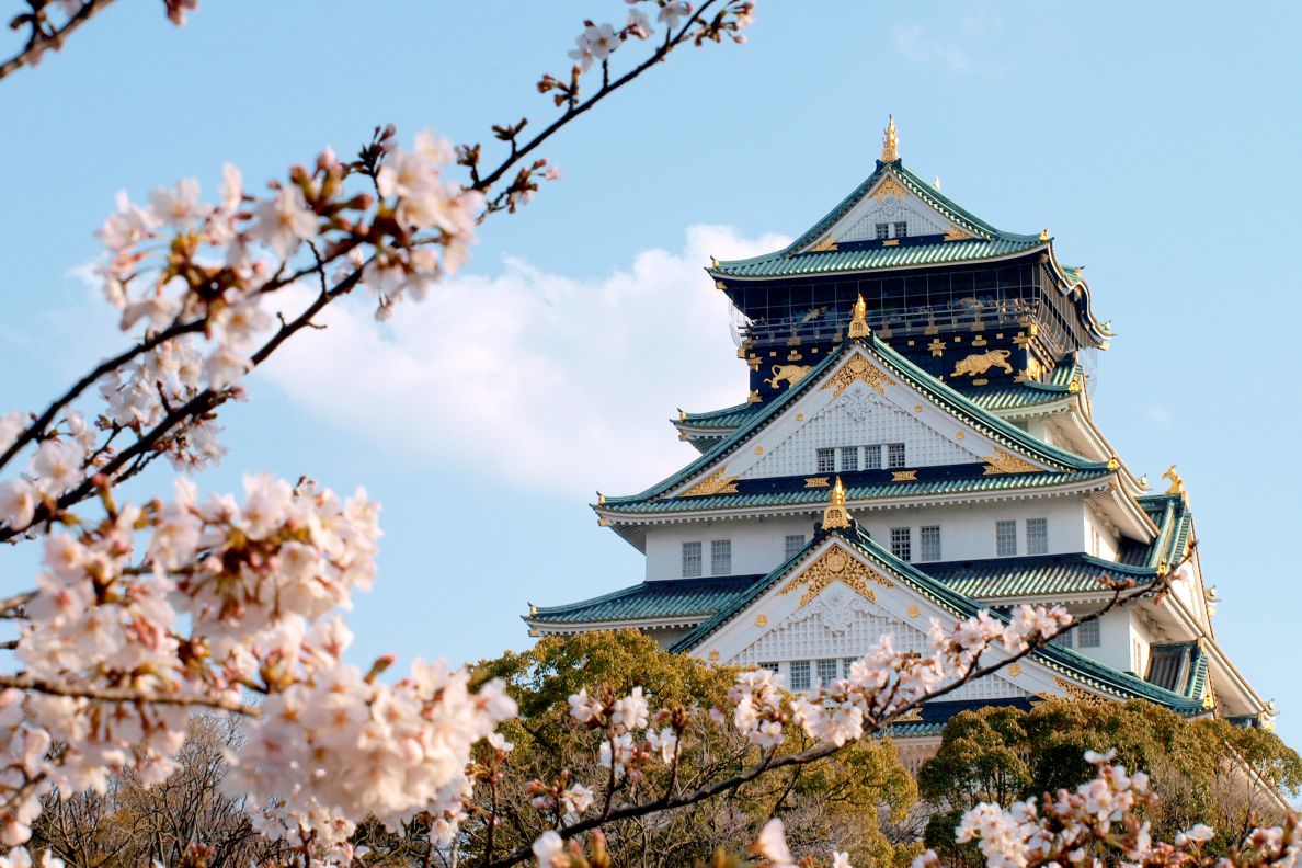 Osaka Castle with flowers in front of it.