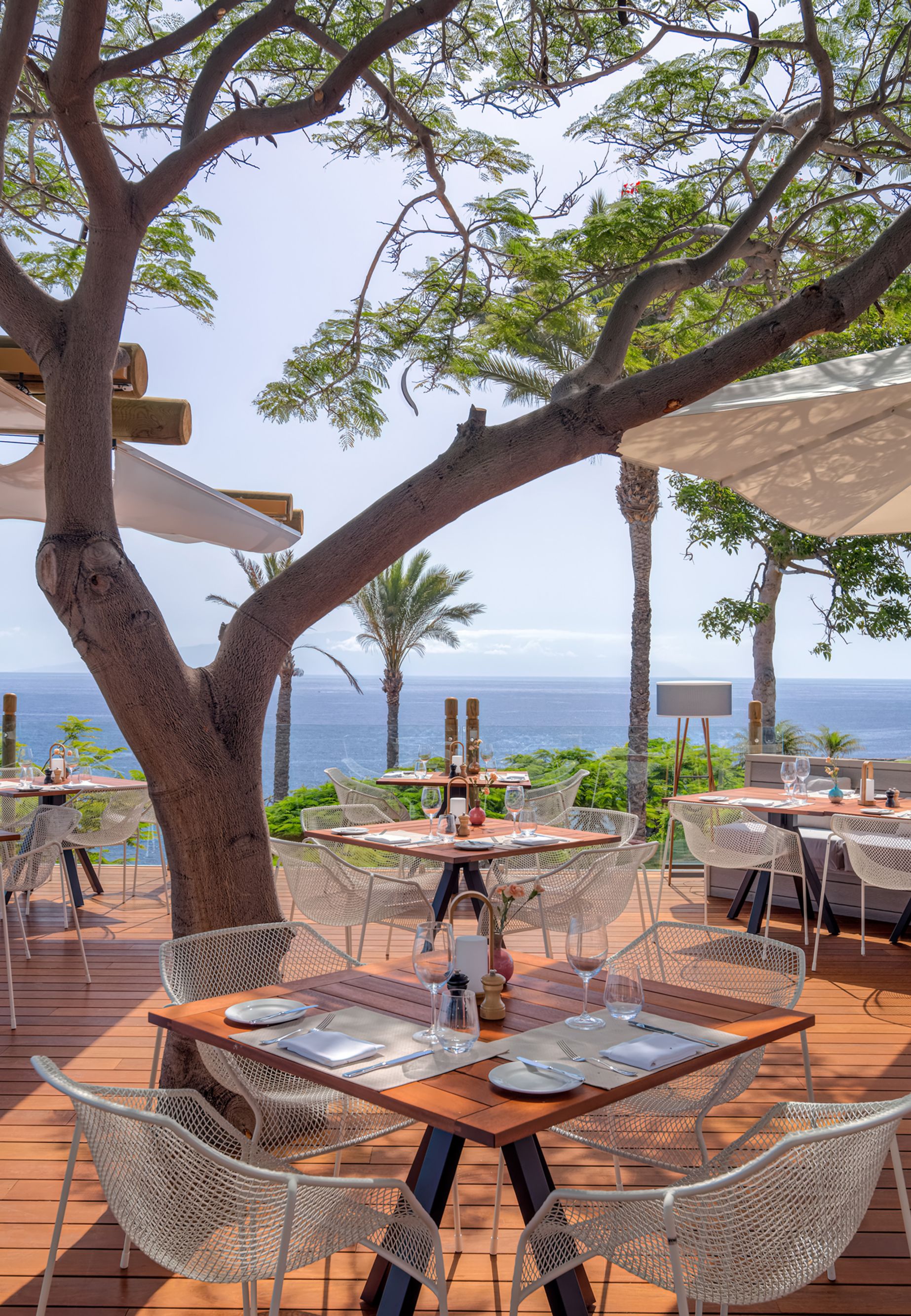 50554440-restaurant el mirador terrace 1