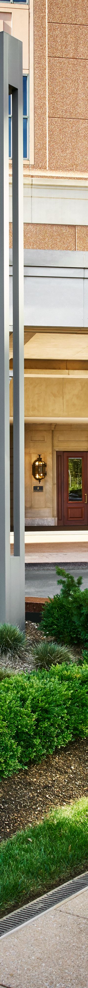 50561167-the ritz-carlton wasty car 0003