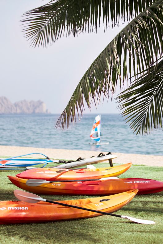 Several kayaks under a palm tree on a grassy area near the beach.