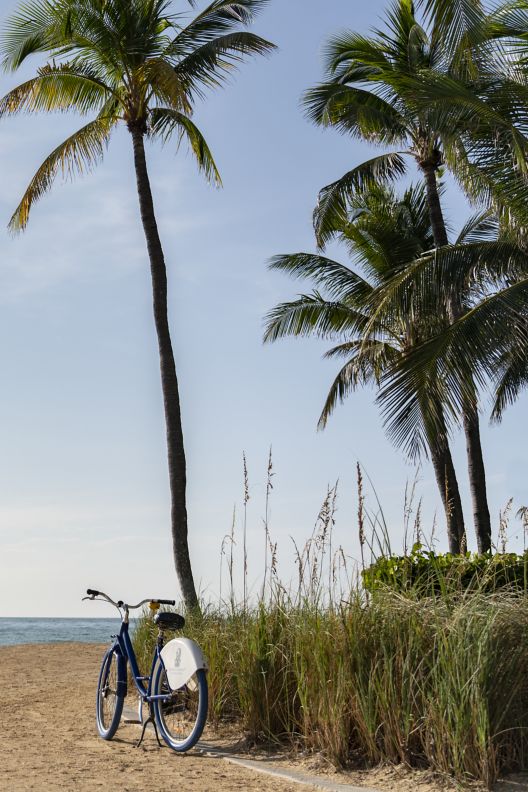 Bicycle on the beach next to palm trees.