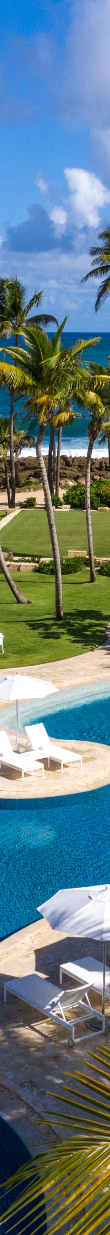 50578551-rc dorado bch encanto pool drone 22