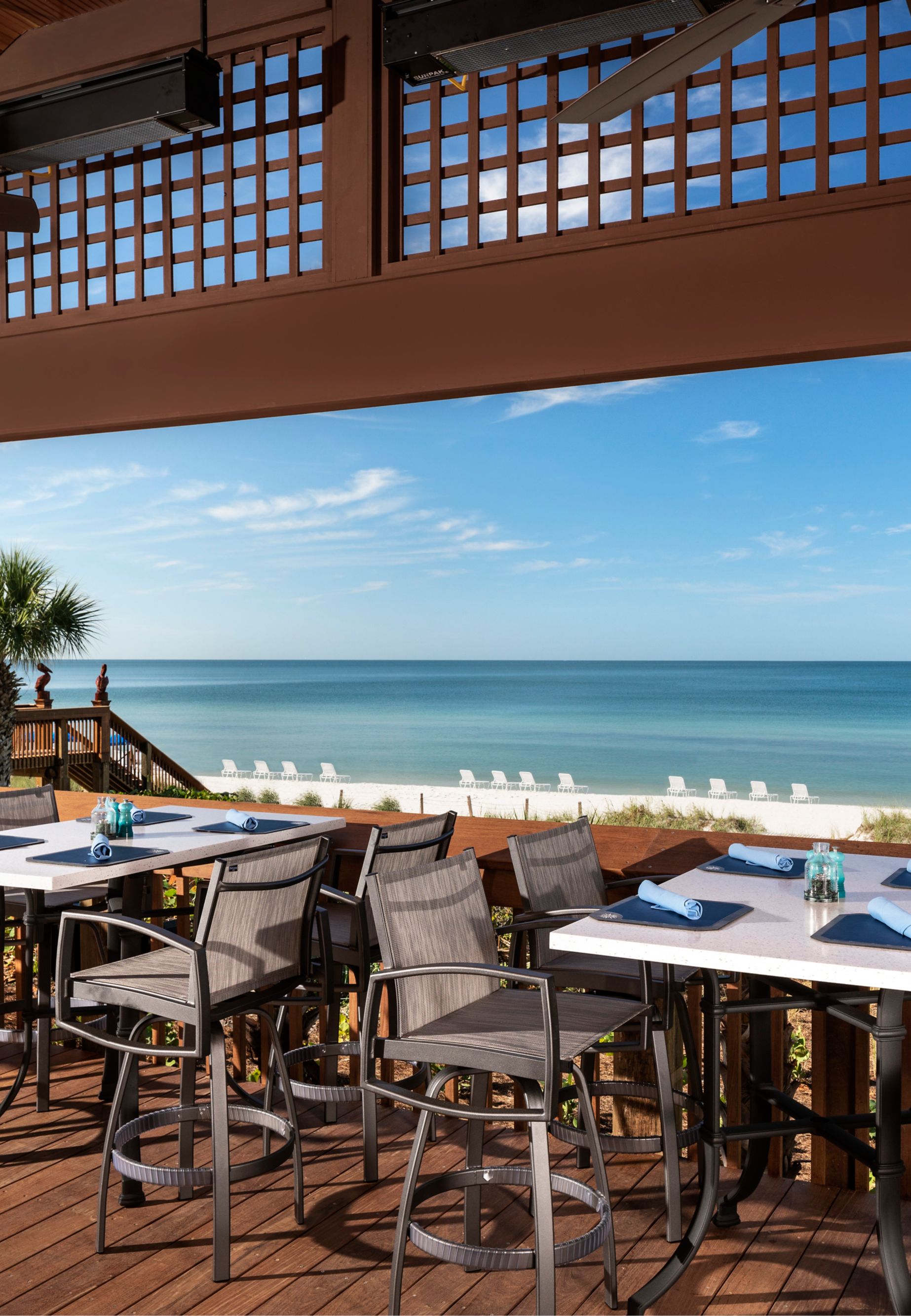 50581374 gumbo limbo