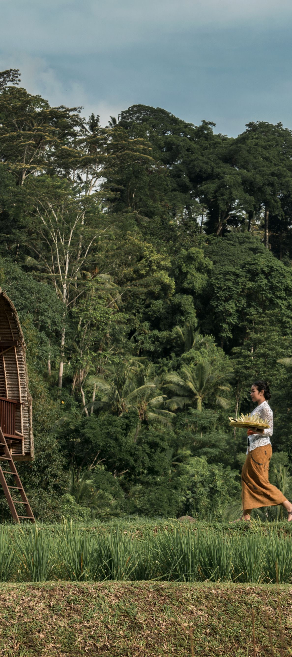 Planning Your Trip | Mandapa, a Ritz-Carlton Reserve