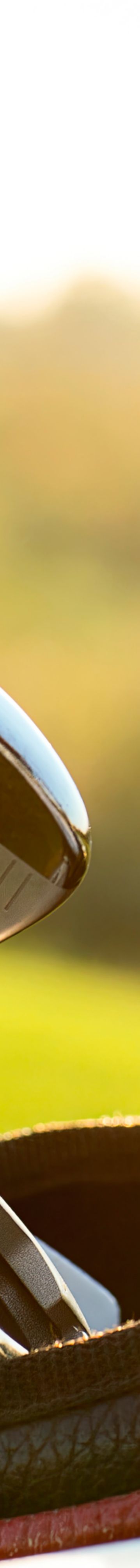 GettyImages-587536830-gigapixel-art-width-4000px.jpeg