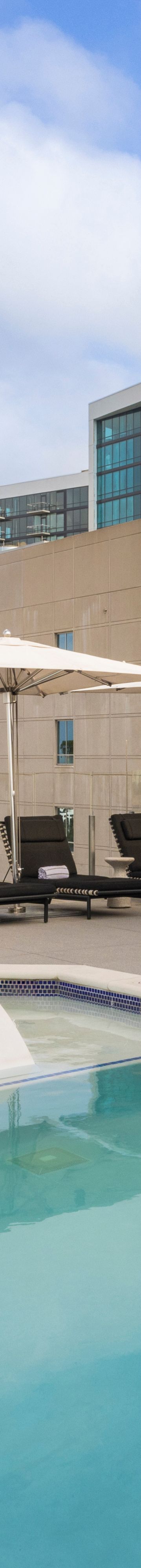 Rooftop Pool 39100