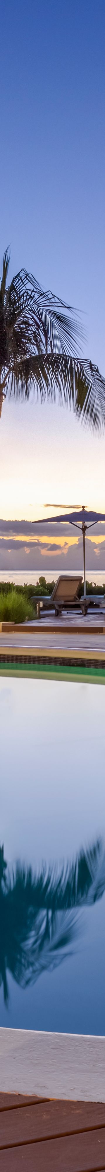 Tamarid Main Pool 42131