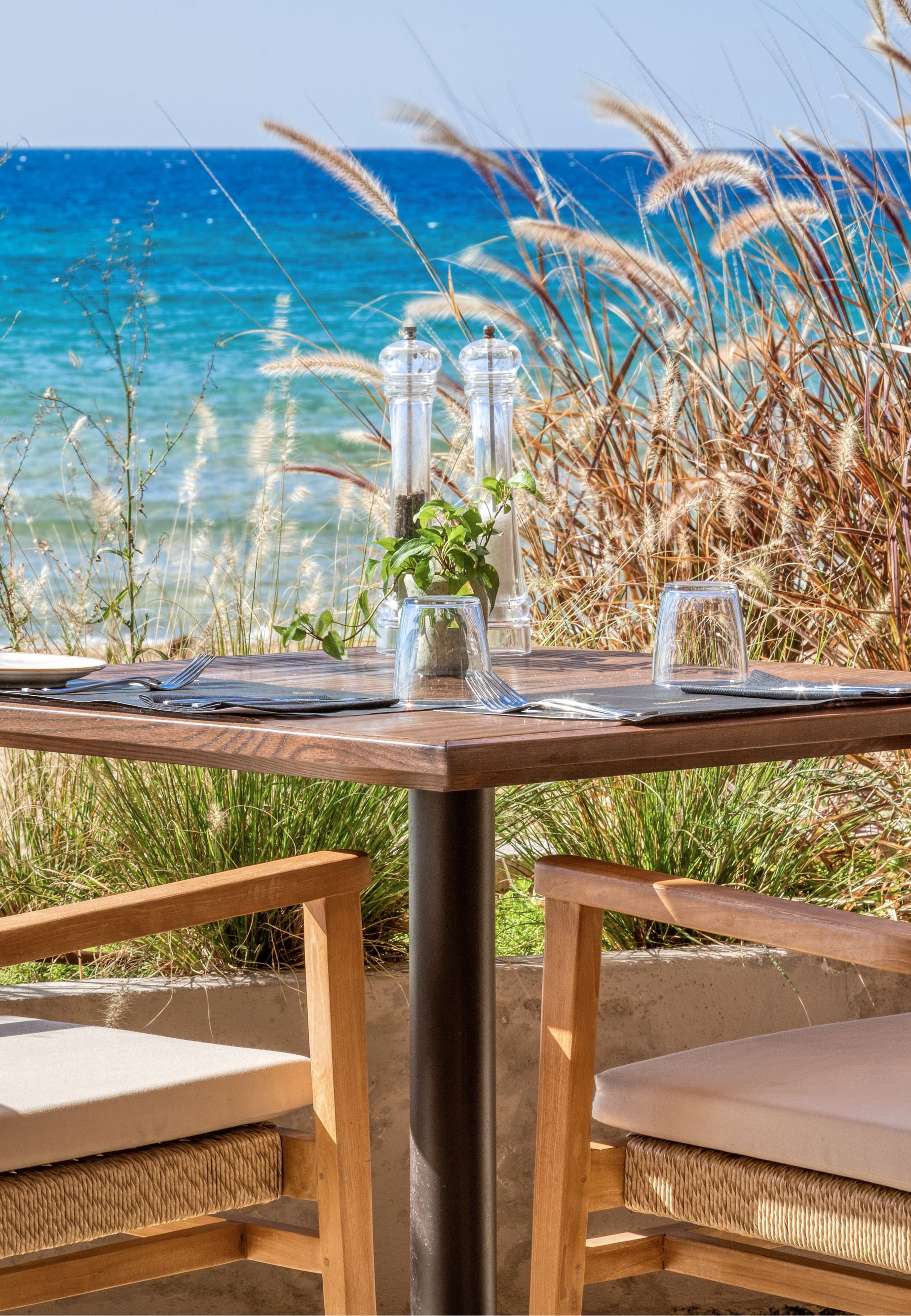 Topos Restaurant 31590