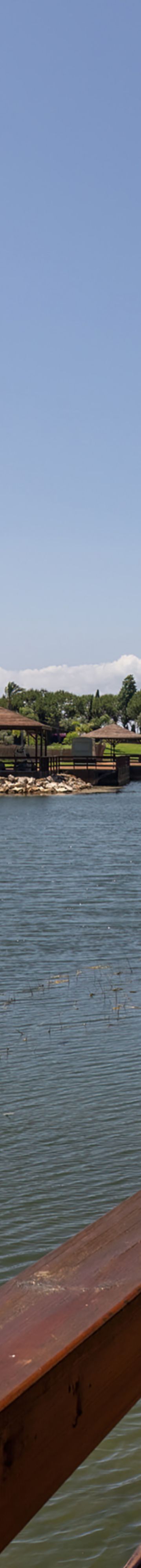 Lakeside trail 41768