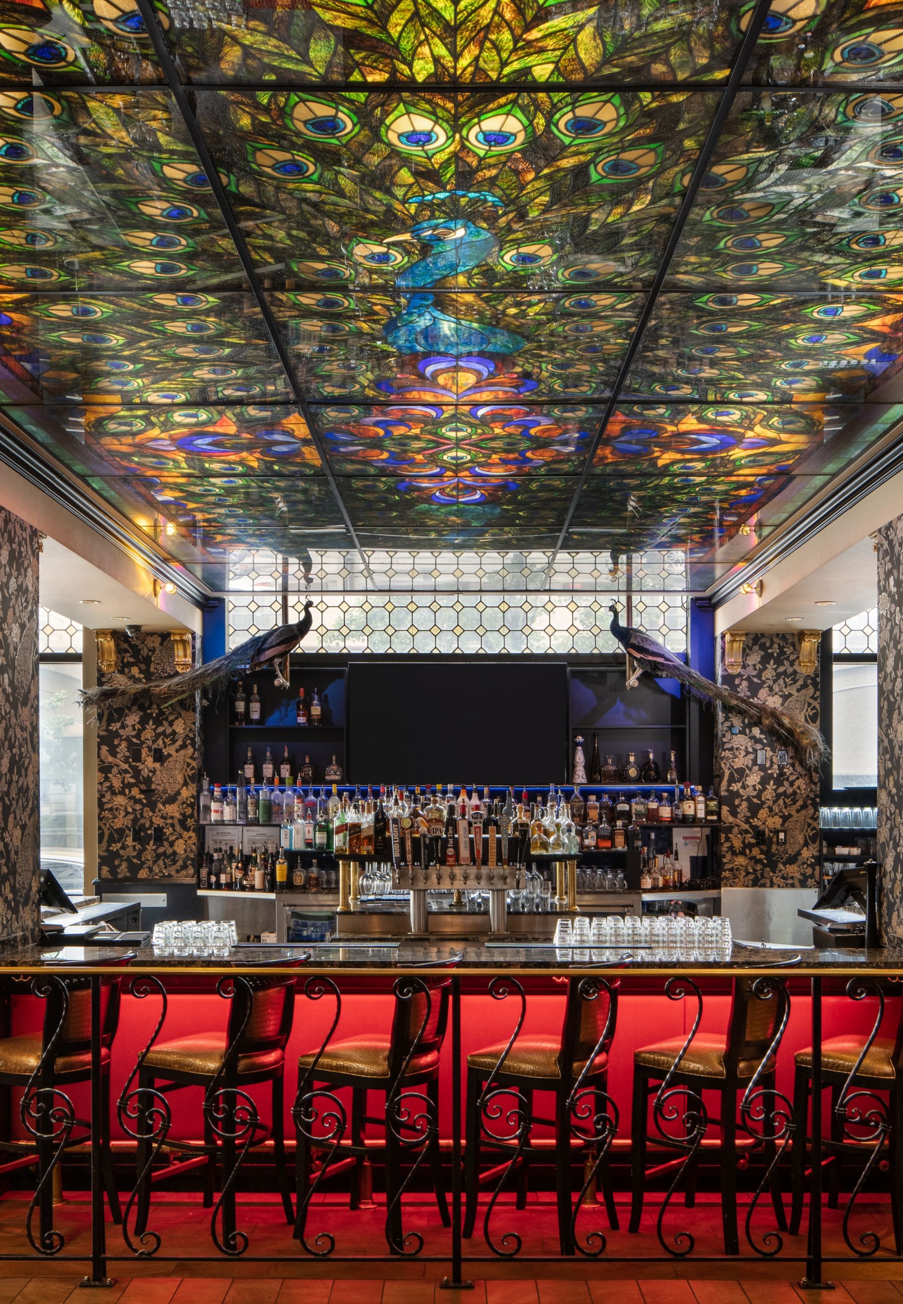 peacock-bar-10926
