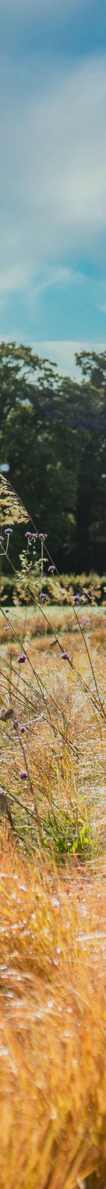 Walk through garden 12266