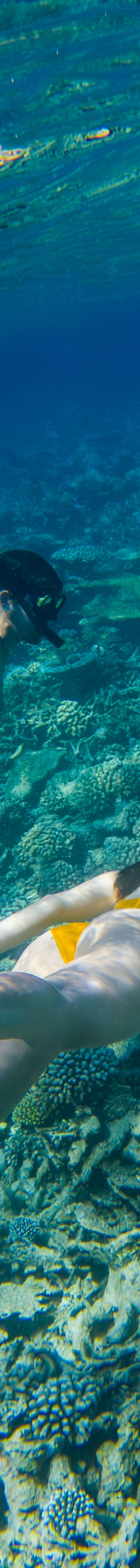 snorkelling-32719
