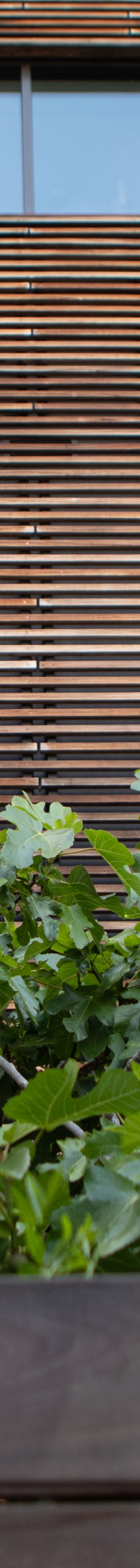 Hotel Cerro Outside 24198