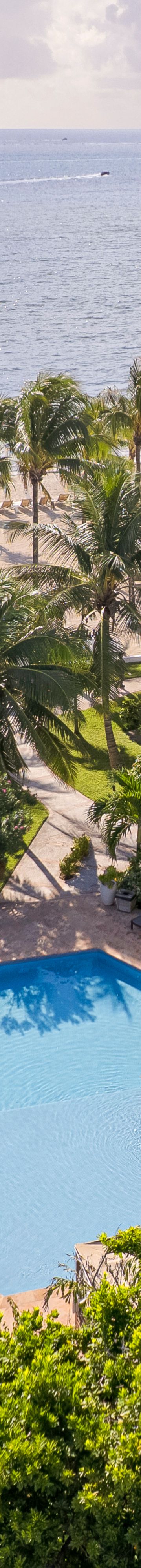 Aerial view of Reef House