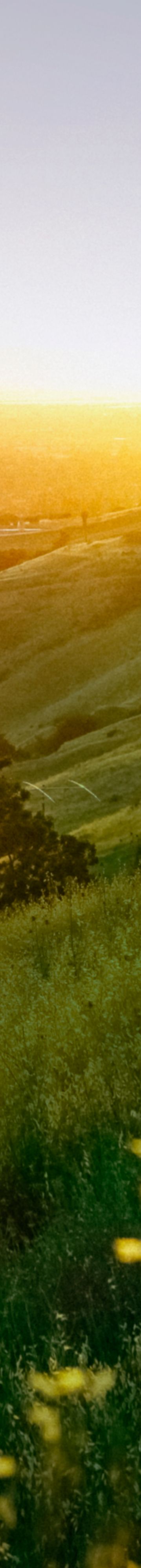 San-jose-silicon-valley-s