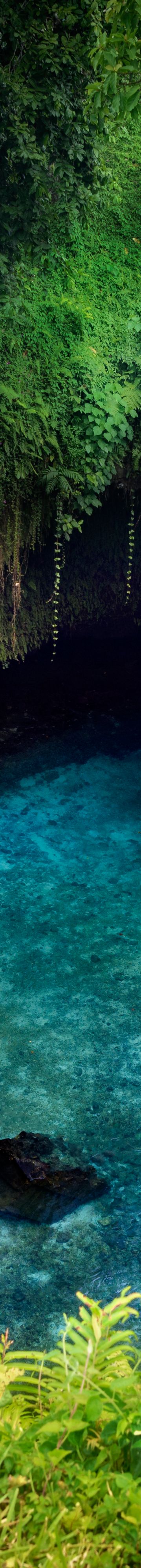 apwsi-sua-rench-5939