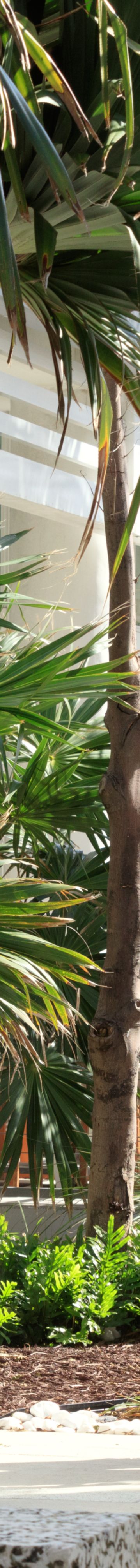 Lifestyle-Side Entra24935