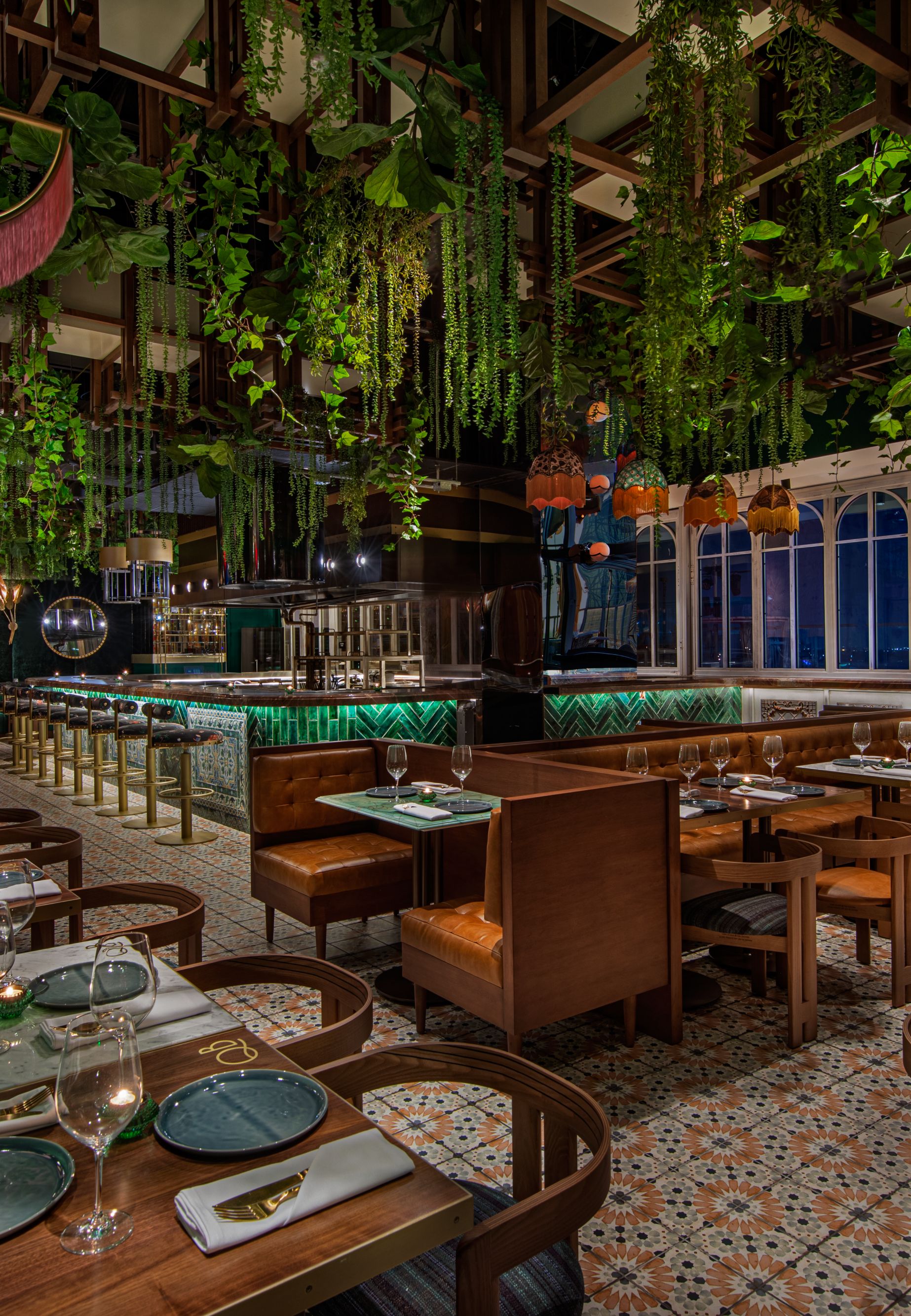 south-american-live-38496