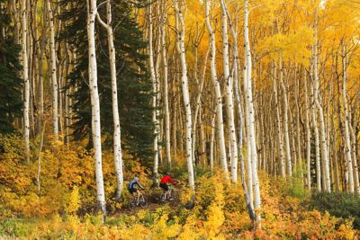 Two people biking in the mountains surrounded by trees in falls