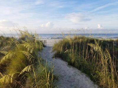 A sandy path on a beach