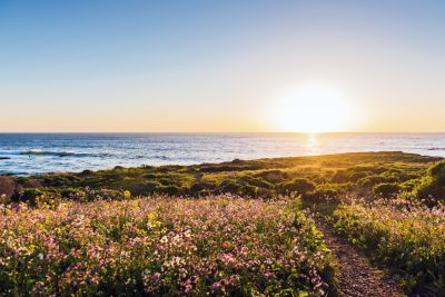 The beach at sunset