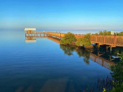 A boardwalk over tranquil water in the morning sun